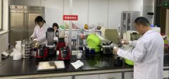 党建共建聚合力赋能阿胶财产立异——聊城市查