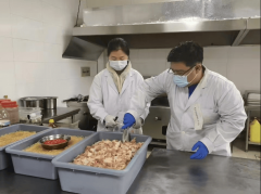 一旦呈现食物题