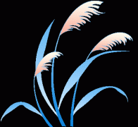 为规范免陪照护办事行